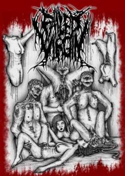 Failed Virgin : Demo Album 2009 Failed Virgin : Demo Album 2009